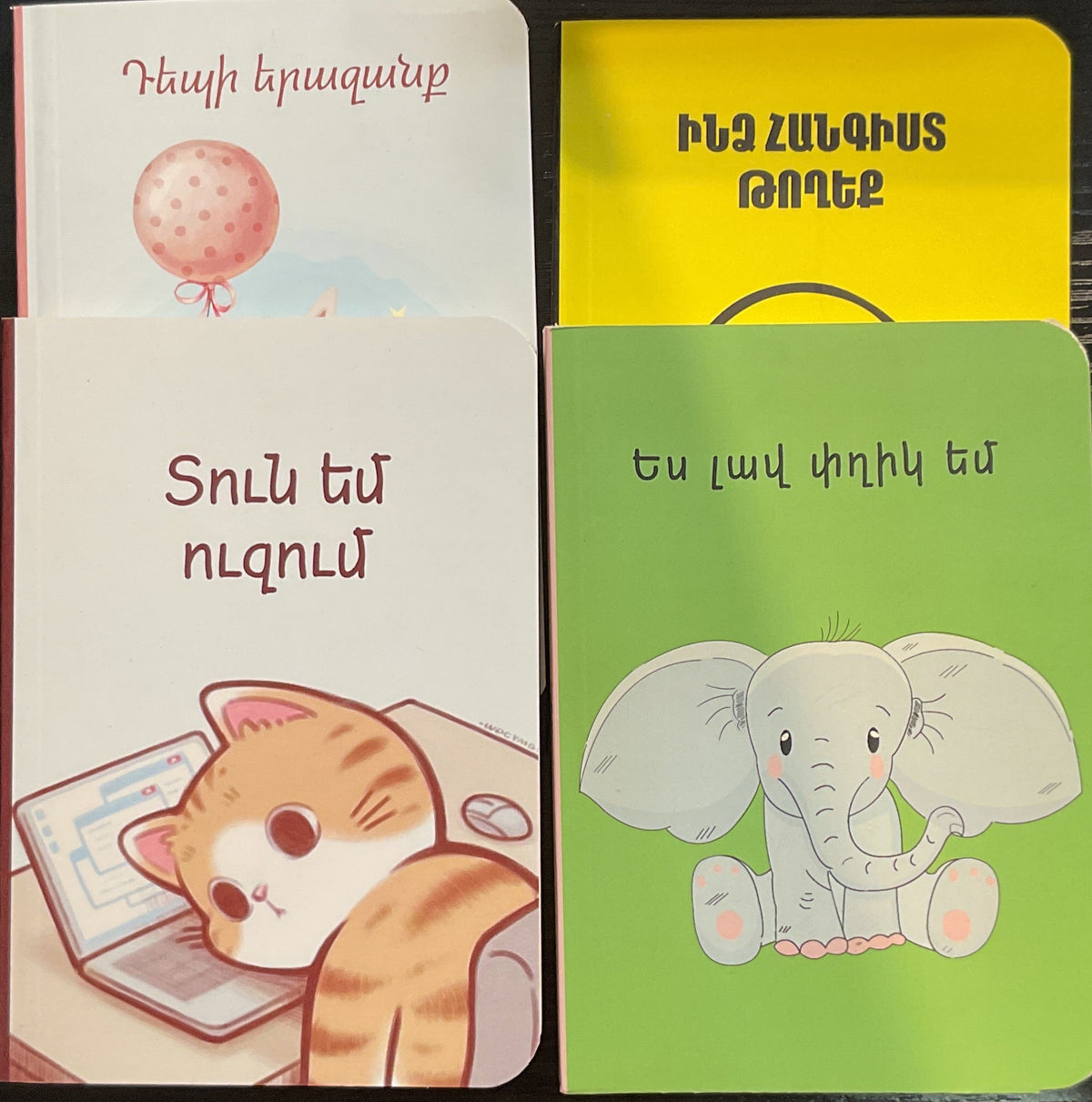 Pocket Notebooks